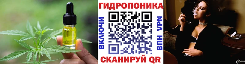 Купить где  Цивильск  Canna-Cookies конопля 
