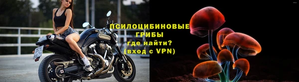 герыч Россошь
