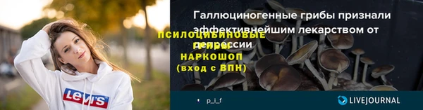 спиды Ростов