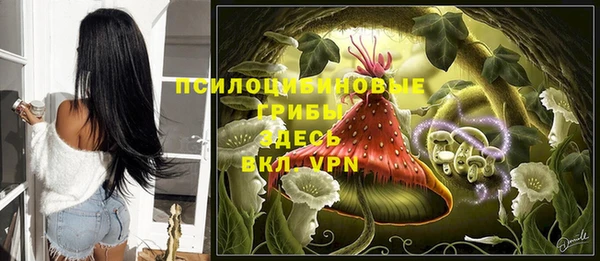спиды Ростов