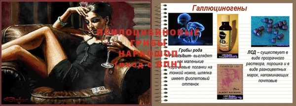 спиды Ростов