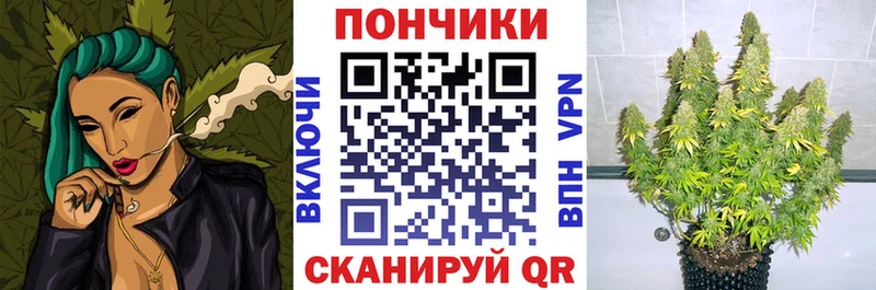 Конопля сатива  Купить закладки  Цивильск 